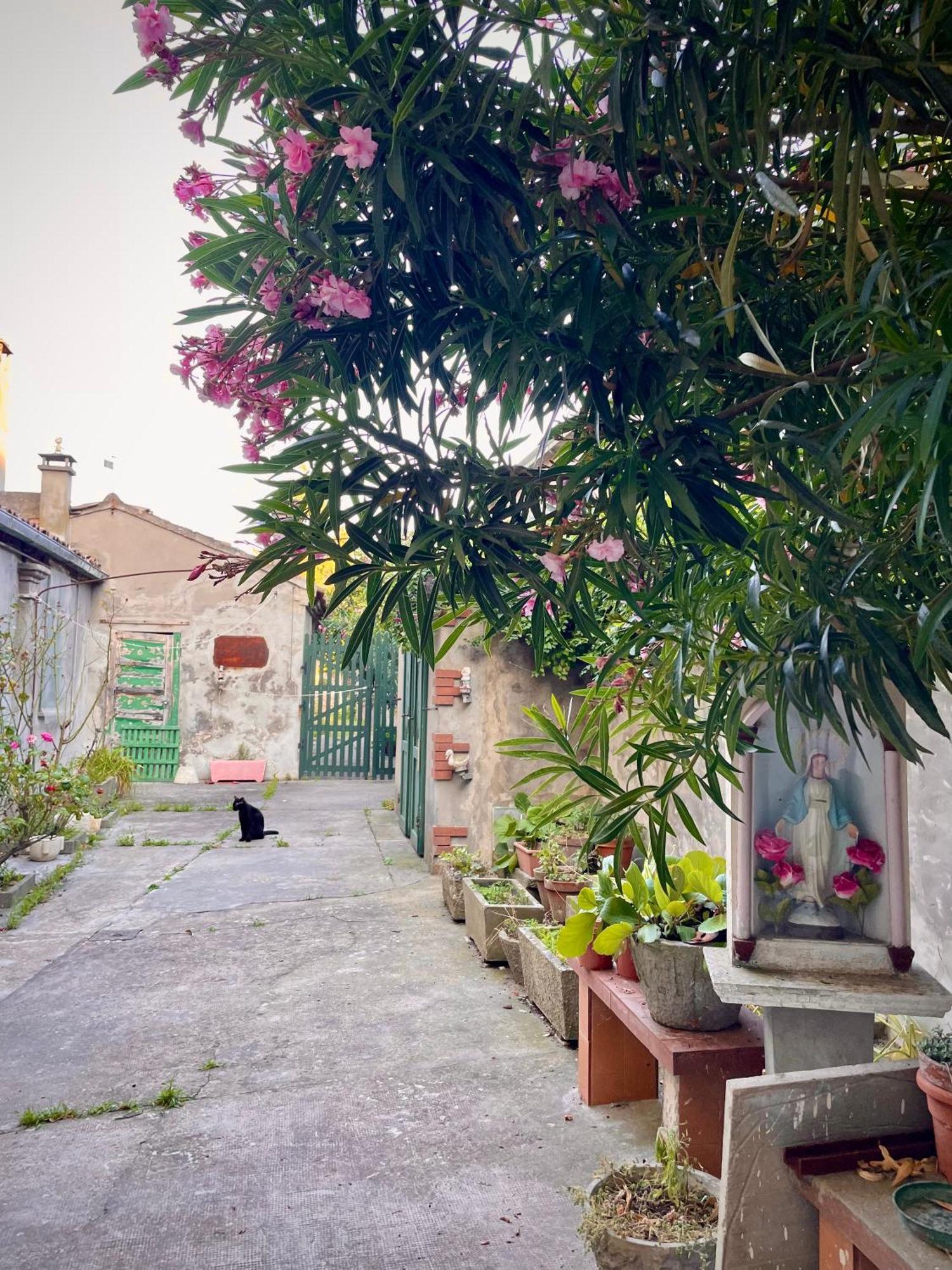 L'Encanto De Luna -Una Casa Autentica Comacchiese โคมัคคิโอ ภายนอก รูปภาพ